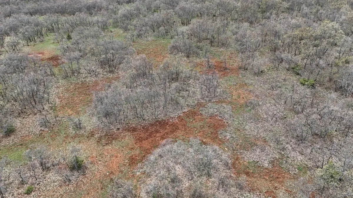 gulistan-dokunun-mezari-40-kilometrelik-alanda-arandi-1777037309237.jpeg Gülistan Doku soruşturmasında 17 noktada 40 kilometrelik alan tarandı-3