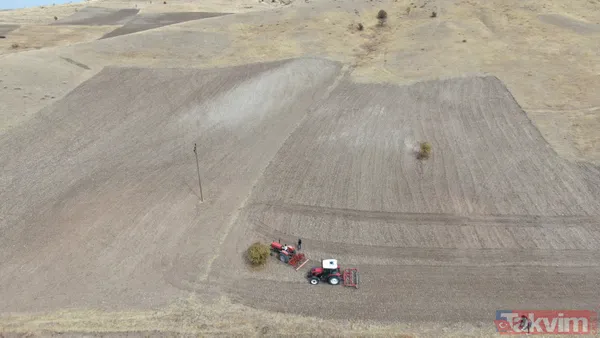 Dünyanın en iyilerinden olan Sorbonne'da okudu! Köyüne dönüp tarım yapmaya karar verdi - 5