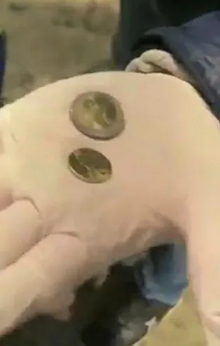 Sahte altın, sahte dolar derken şimdi de sahte euro! Almanya'ya götürülecekti! Binlercesi ele geçirildi