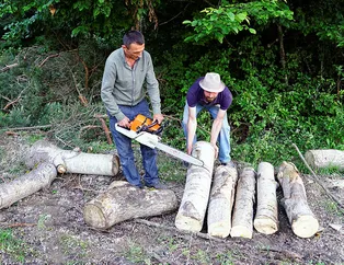 Kastamonu’da inanılmaz olay! Ayı üç kişiyi rehin aldı
