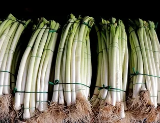 İltihaplara pırasa