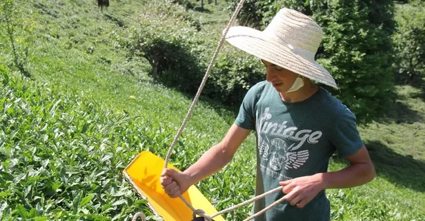 Rizeli genç çay motorunu teleferiğe bağlayarak ağırlığından kurtuldu