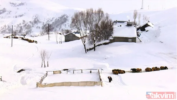1800 rakımdaki köy kara gömüldü! 2 metre yüksekliğe çıktı - 14