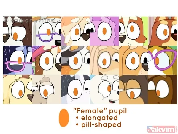 LGBT terörü bu kez çizgi filmde: Sapkın evlilik iki anne! Hedefte Türk çocuklar da var - 10