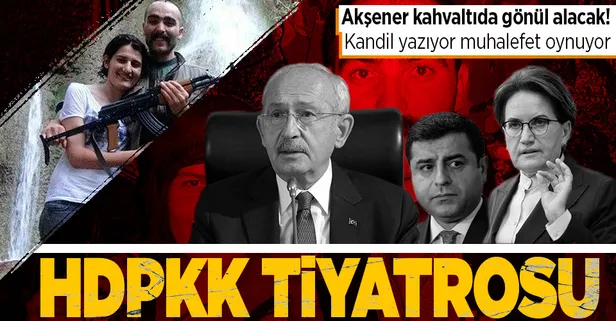 Kandil yazıyor muhalefet oynuyor: HDPKK tiyatrosu! Akşener kahvaltıda gönül alacak
