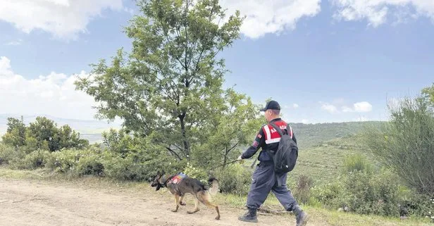 Kafatası aranıyor