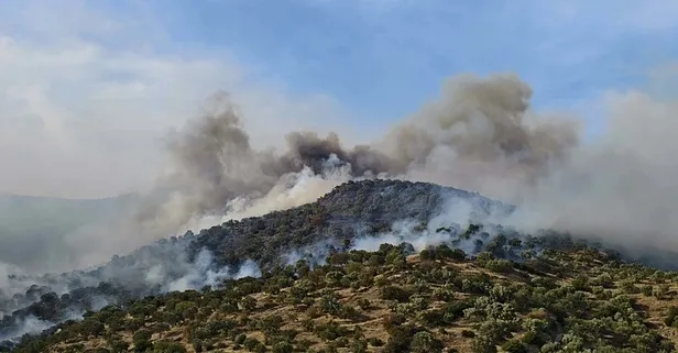Aydın Bozdoğan'da korkutan yangın