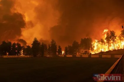 Yunanistan’daki orman yangınlarında korkunç bilanço! Felaketi yaşıyorlar
