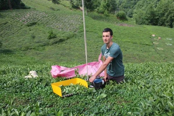 rizeli-genc-cay-motorunu-teleferige-baglayarak-agirligindan-kurtuldu-1622800605410.jpg Rizeli genç çay motorunu teleferiğe bağlayarak ağırlığından kurtuldu-2