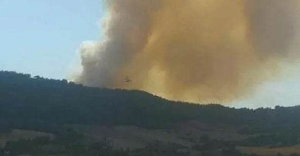 Son dakika: Adana’da tarlada başlayıp ormanlık alana sıçrayan yangına müdahale ediliyor