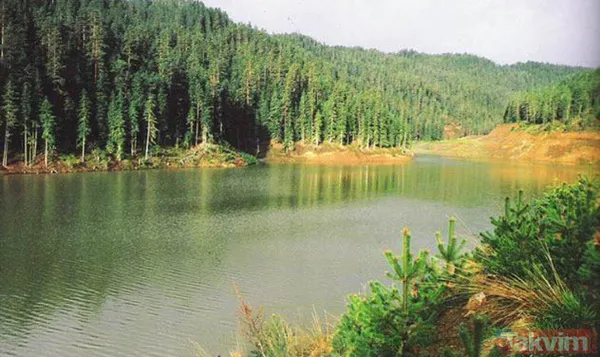 Google dünyanın merkezi olarak belirledi! O ilimize turist akın etti... - 14