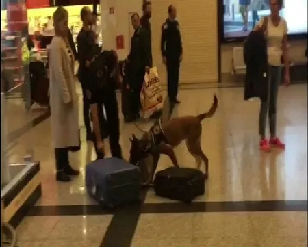 Almanya'dan gelen yolcuların valizlerine köpekli arama-2