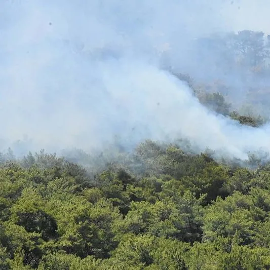 Urla’da yeniden yangın!