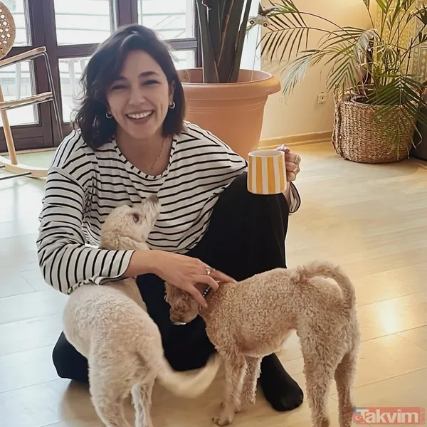 2016 Yılında Kanal D'de Yayınlanan Vatanım Sensin Dizisinde Eftelya Karakteri İle Daha Geniş Çevrelerce Tanınan Oyuncu, 2018'De Yayınlanan Şahsiyet Dizisinde...