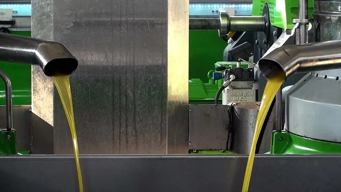 canan-karataydan-gizli-silahini-acikladi-turklerin-altin-sutu-ne-seker-ne-de-tansiyon-birakiyor-1702028871252.jpg Canan Karatay'ın gizli formülü ortaya çıktı! Türklerin altın sütü ne şeker ne tansiyondan eser bırakmıyor-2