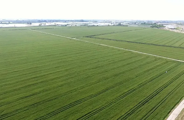 kacak-elektrik-kullaniminin-en-yuksek-oldugu-illerde-dronela-denetleme-olacak-kacak-elektrik-kullananlara-2021de-elektrik-verilmeyecek-1604037447363.jpg Kaçak elektrik kullanımının en yüksek olduğu illerde drone'la denetleme olacak, kaçak elektrik kullananlara 2021'de elektrik verilmeyecek-3