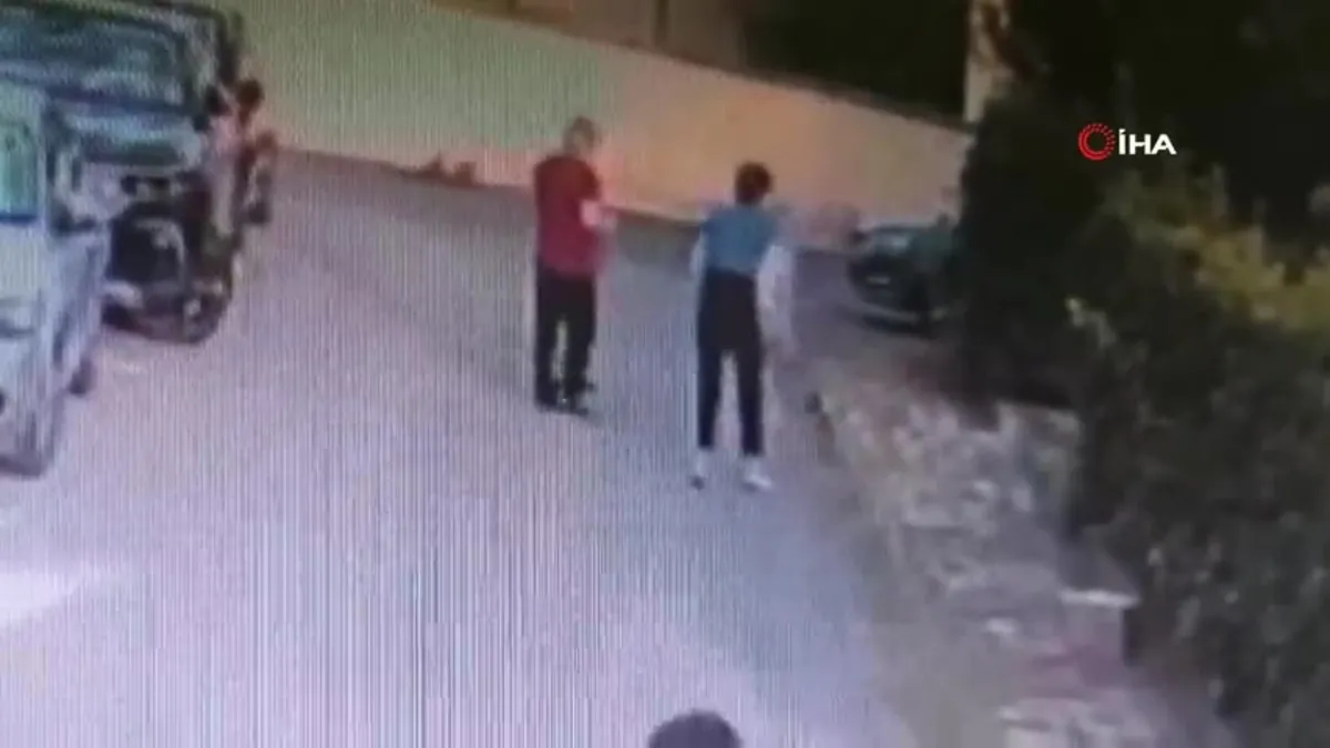 Kangal köpeği başka bir köpeği parçaladı! Sahibi kalp krizi geçirdi