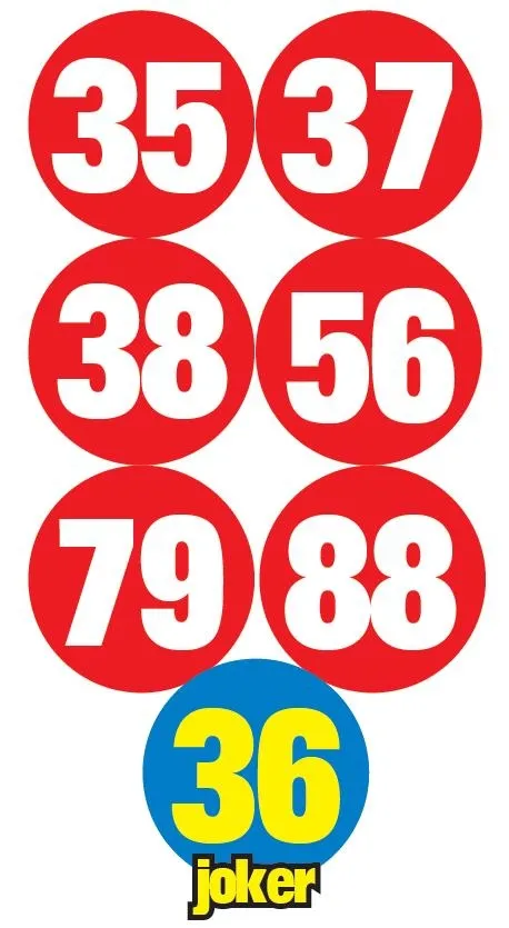 İstanbul Yenibosna'da bir kişi Akıncı'yı evine sığdırdı (Güncel haberler)-2