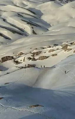 Kato'da ele geçirildi