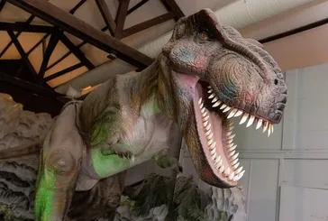 Dinozorların katili meğer hayat vermiş: Kıyamet kraterinden 8 milyon yıllık yaşam çıktı!
