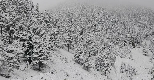HAVA DURUMU | Meteoroloji'den kritik uyarı! Mayıs ayında kar | 24 Mayıs 2020 hava durumu