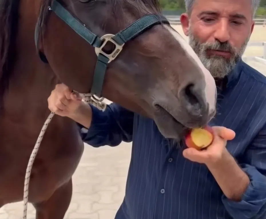 1781690237000.jpg Mert Turak'ın atıyla paylaştığı o doğal anlar... Elma ikram ettiği o sevimli video sosyal medyada viral oldu!-3