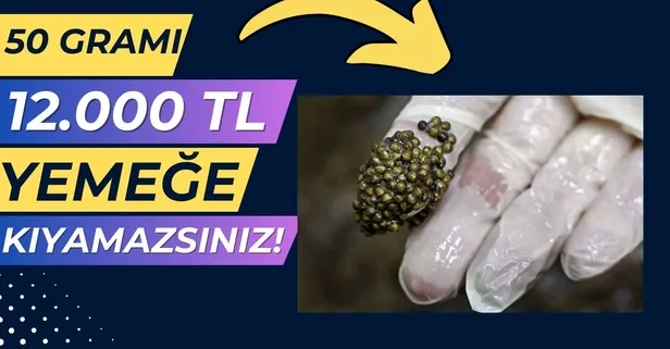 Yemeğe kıyamazsınız saklarsınız: 50 gramı 12.000 TL, kilosu 240.000 TL'den satılıyor!