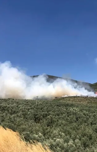 SON DAKİKA: Bursa'da hastane yakınında bulunan ormanlık alanda yangın