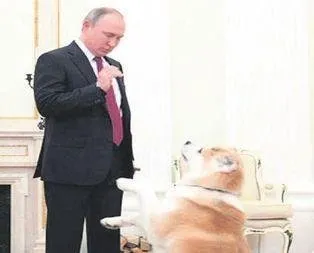 Putin Kopegi Reddetti Takvim
