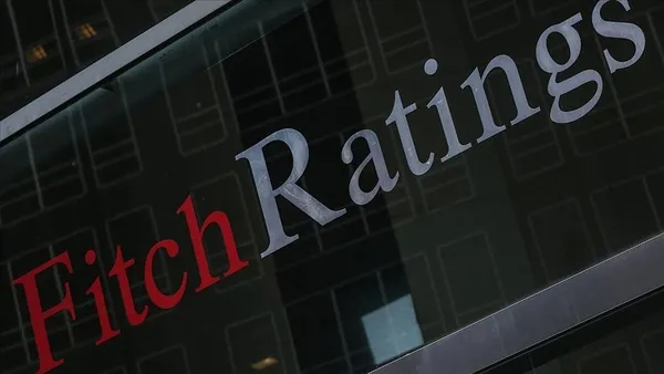 Fitch'ten flaş 2021 tahmini! Doların zayıflamasının ardından kredi...-2