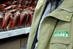 Süzme balına şeker zeytinyağına tohum yağı! Yeni taklit ve tağşiş listesinde pes dedirten hileler! 
