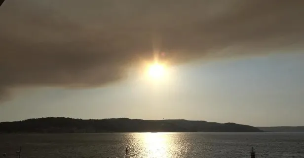 Tekirdağ'daki orman yangını kontrol altında! Balıkesir'de müdahale sürüyor!