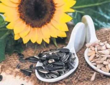 Romatizmanın şakası yok