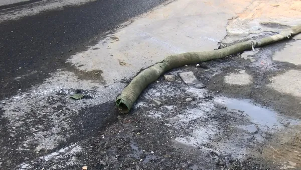 esenyurtta-mavi-su-bu-defa-sokaklara-akti-mahalleli-sokak-kopeklerinin-olmesine-isyan-etti-1622277214593.jpg Esenyurt'ta mavi su bu defa sokaklara aktı! Mahalleli sokak köpeklerinin ölmesine isyan etti-8