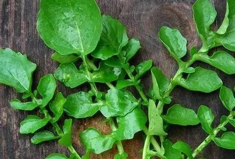 Keskin gözlere tere