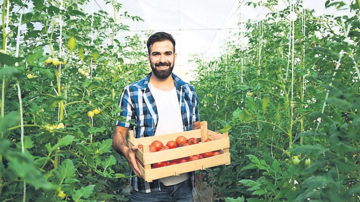 Tarımda %70 hibe desteği başladı: İşletmelere 30 milyon TL ödeme yapılacak