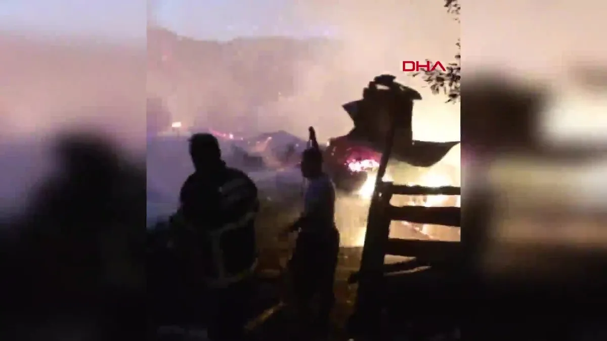 Feke’de yangın!