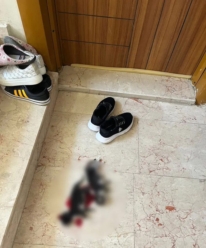 bursada-6-yavru-kedi-baslari-kesilerek-olduruldu-1711119787178.jpg Bursa'da vahşet: 6 yavru kedi başları kesilerek öldürüldü-3