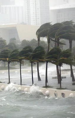Beklenen Irma Kasırgası Florida'ya ulaştı