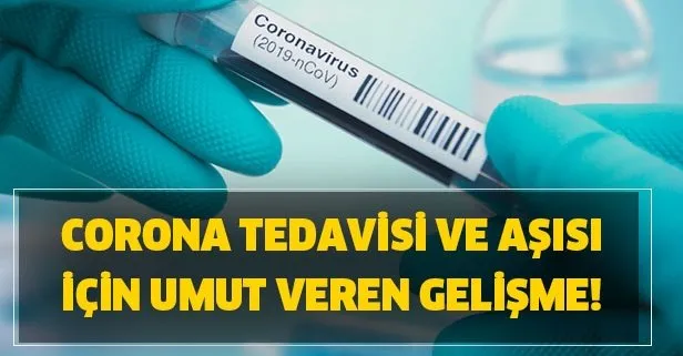 Corona aşısı ve tedavisi bulundu mu? Umut veren gelişme!