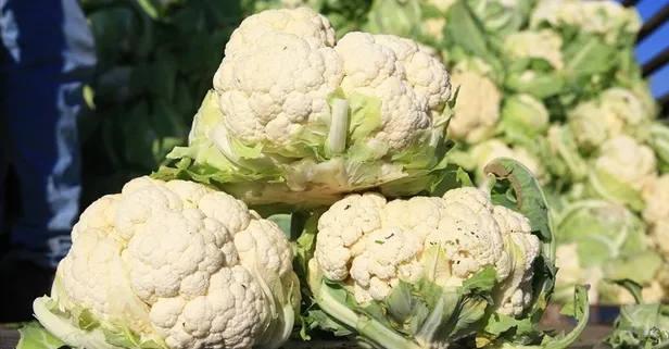 Karnabahar yaraları iyileştirir