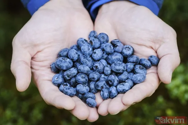 🍇 Antioksidan Deposu Yaban Mersini, Antosiyanin Gibi Güçlü Antioksidanlar Açısından Oldukça Zengindir. Bu Bileşenler, Hücrelere Zarar Veren Serbest Radikalleri...