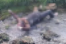 Cezaevinden izinli çıktı bir daha dönmedi! Firari olarak aranan Yılmaz Kayık’ın cesedi bulundu