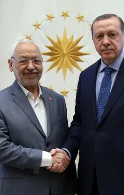 Cumhurbaşkanı Erdoğan, Tunus liderini kabul etti
