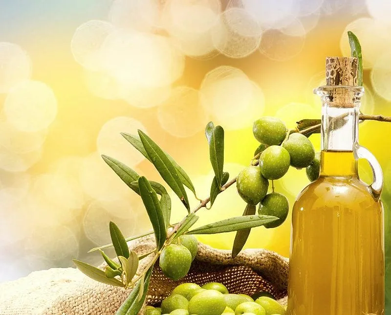 Zeytinyağı-çökelek miden rahat demek