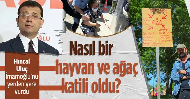 Hıncal Uluç'tan çarpıcı köşe yazısı: İmamoğlu nasıl bir hayvan ve ağaç katiline dönüştü?
