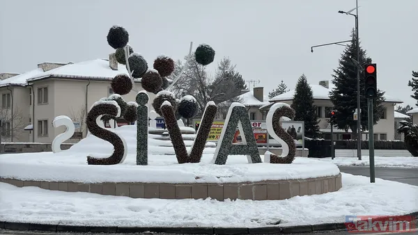 Türkiye buz kesti! Eksi 24,3 dereceyle Türkiye’nin en soğuk ili açıklandı - 2