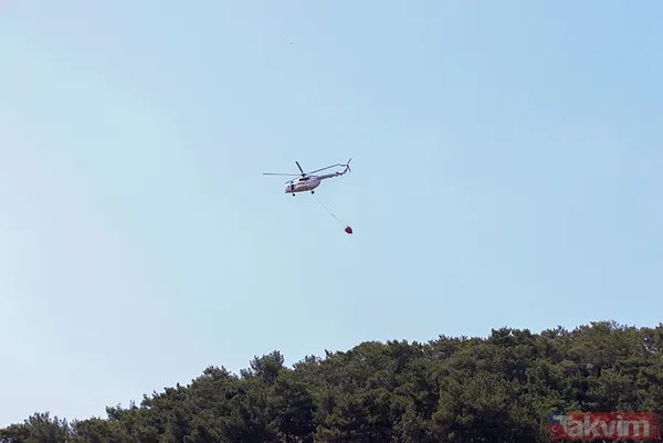 İzmir Bornova'da orman yangını: O yol kapatıldı - 16