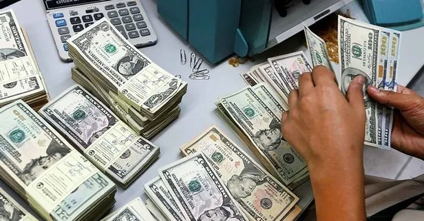 Dolar ve euro ne kadar oldu?