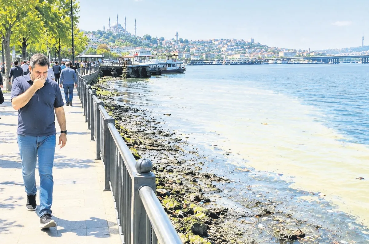 pes-dogrusu-1789439605881.jpeg Başkan Erdoğan temizletmişti! CHP'li İBB döneminde Haliç yine bataklığa dönüyor: Kokudan duramayan vatandaşlar isyan etti-3